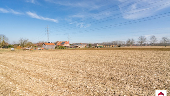 Velm - ZN - - B206/00L2 (HET ZAK) - 1730