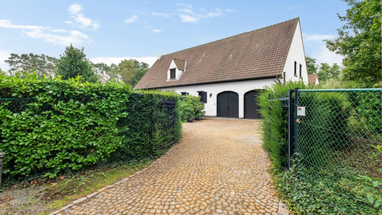 Oude Putsebaan - 50A - - 3140