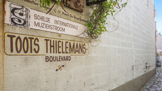 Borgstraat - 111 - - A2.3 - 2890