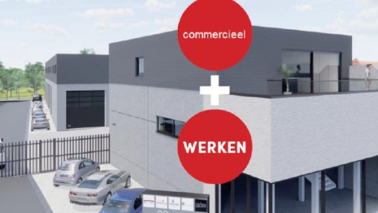 Roeselarestraat - 78-80 - - 8800