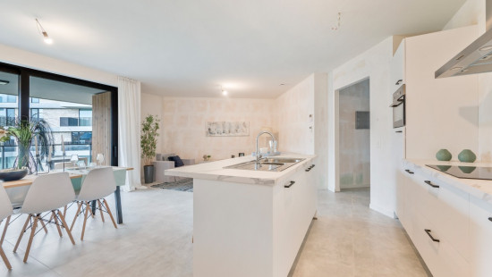 Prosper van Raemdonckstraat - 70 - 101 - B104 - 9120