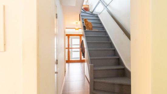 Schijfwerpersstraat - 69 - - 2020