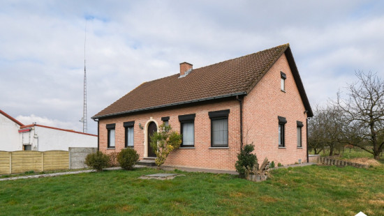Sint-Truidersteenweg - 538 - - 3840