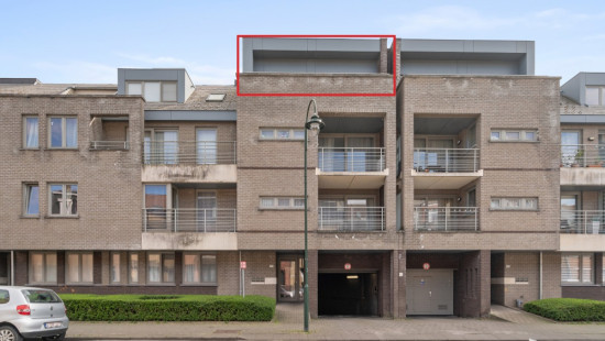 Beukenootjesstraat - 223 - - 1120