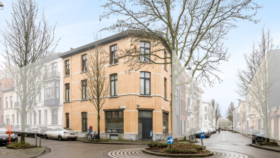 De Lescluzestraat - 71 - 101 - 2600