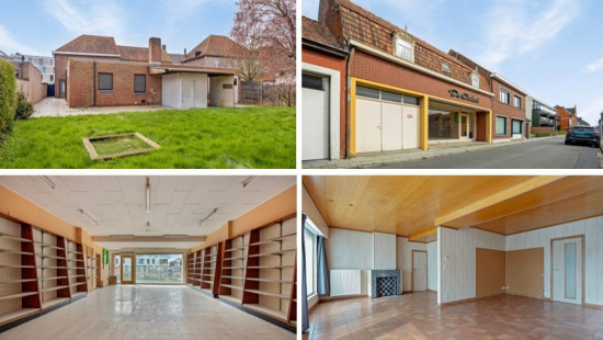 Pastoor termotestraat - 12 - - 8750