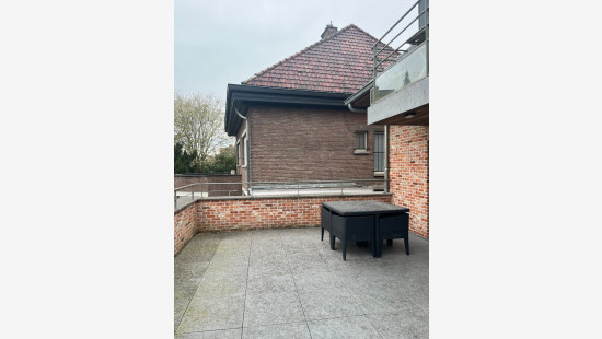 Oude Bruggestraat - 53 - 0101 - 8750