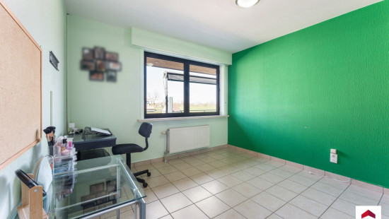 Wingensesteenweg - 9 - - 8700