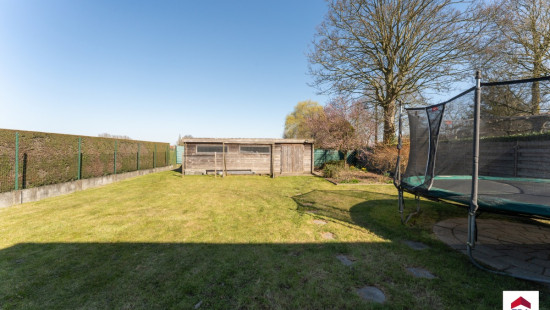 Wingensesteenweg - 9 - - 8700
