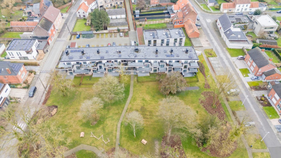 Petegemplein - 5 - 0.04 - 0.04 - 9790