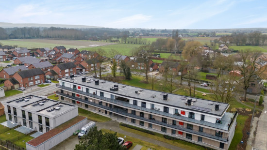 Petegemplein - 5 - 0.03 - 0.03 - 9790