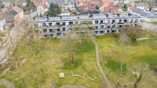 Petegemplein - 5 - 0.04 - 0.04 - 9790