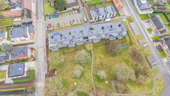 Petegemplein - 5 - 0.03 - 0.03 - 9790