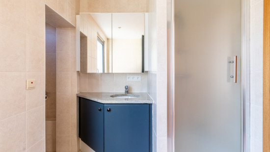 Julius de Geyterstraat - 128 - - 2610