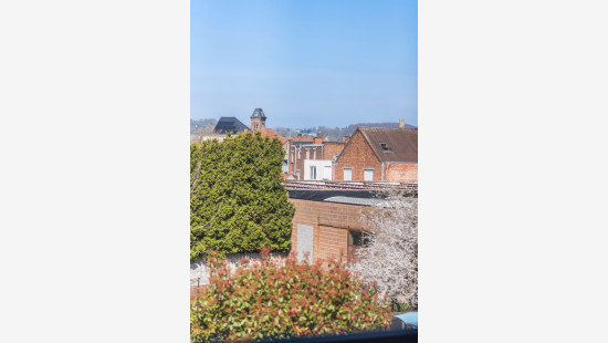 Olifantstraat - 52 - - 9600