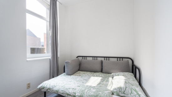 Grand&#039;Rue - 8 - - 7900