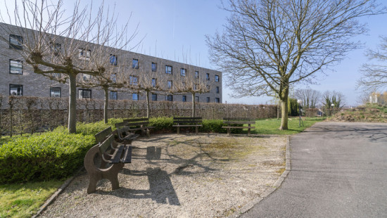 Leeuwerikenstraat - 39 - 0001 - 3001
