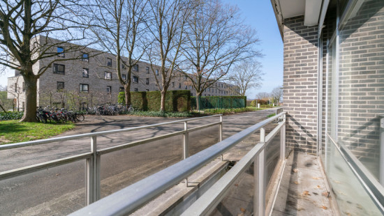 Leeuwerikenstraat - 39 - 0001 - 3001