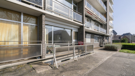 Leeuwerikenstraat - 39 - 0001 - 3001