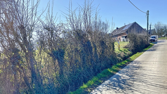 Romont - 19 - B - 1547