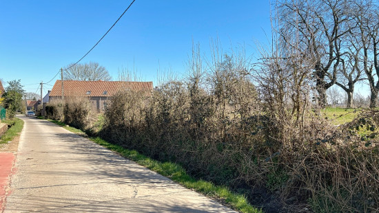 Romont - 19 - D - 1547