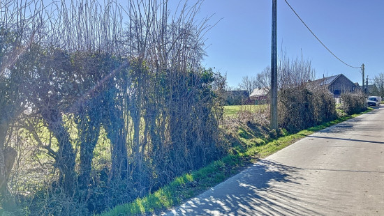 Romont - 19 - D - 1547