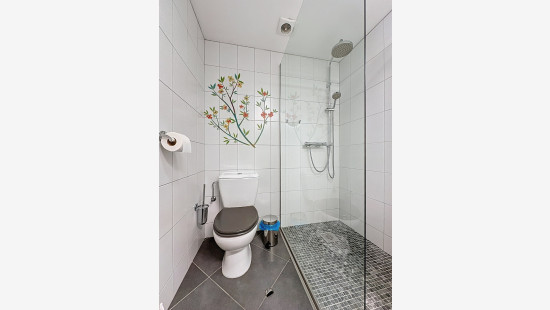 Route Saint-Donat - 6 - - 4960