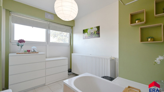Olmenstraat - 5 - - 9900