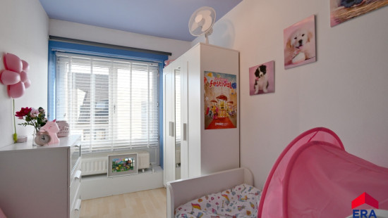 Olmenstraat - 5 - - 9900