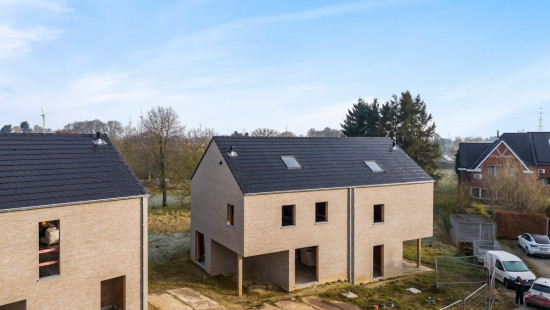 Kruiskouter - 31 - - 6 - 1730