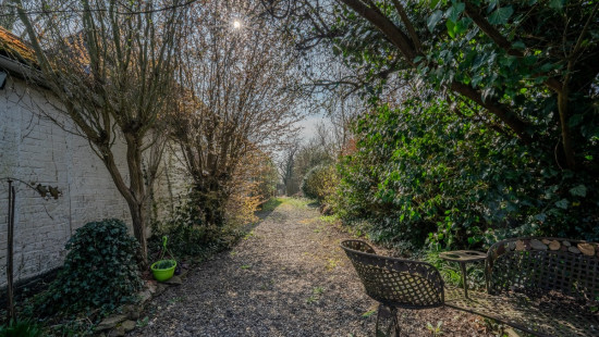 Rue du Tige - 14 - - 4160