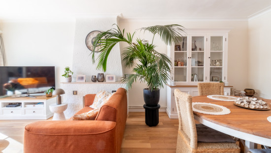 Lambert Briesstraat - 12 - 101 - 2600