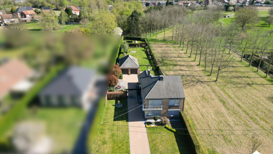 Hoogblookstraat - 21 - - 3590