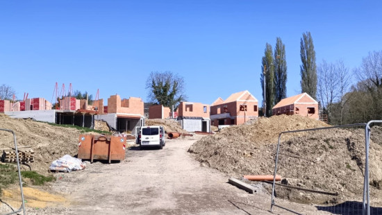 Rue du Vieux Chemin - Erable - - 1495