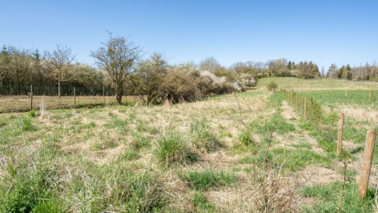 rue Birondai - 0 - - 6997