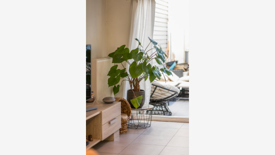 Mercatorstraat - 226 - - 9100