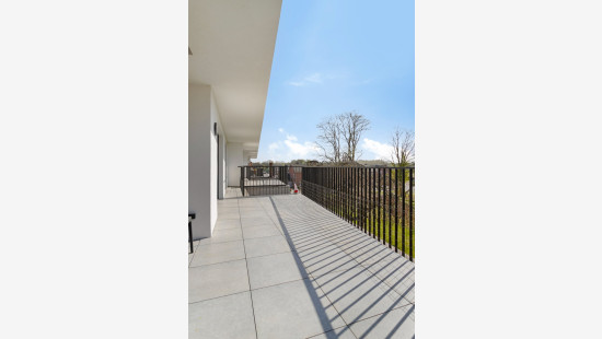 Krauwelstraat - 2A - 203 - 9790