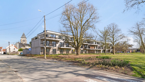Krauwelstraat - 2A - 203 - 9790