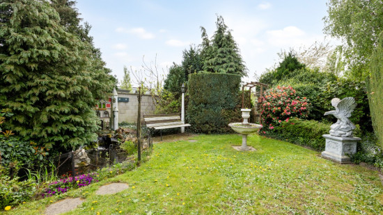 Molenstraat - 29 - - 9870