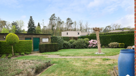 Onze-Lieve-Vrouwstraat - 20 - - 3530