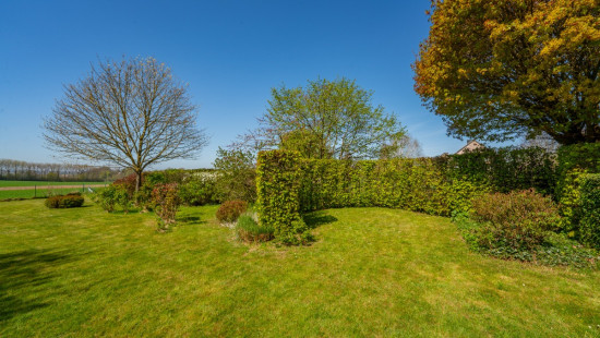 Rue de Petit Ouffet - 27 - - 4590