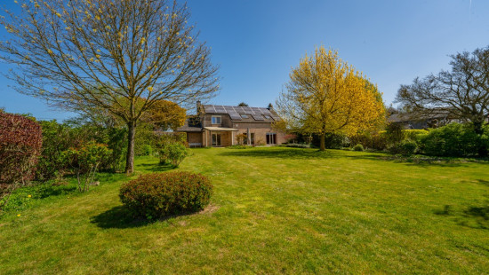 Rue de Petit Ouffet - 27 - - 4590