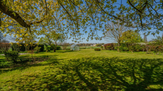 Rue de Petit Ouffet - 27 - - 4590
