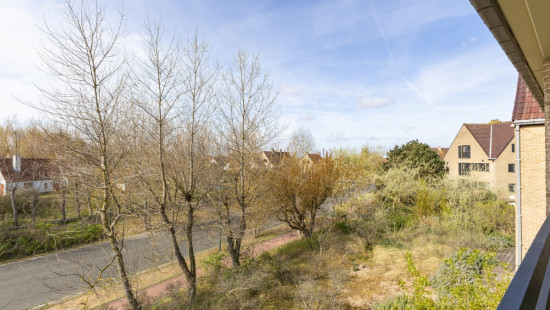 Groene-Biezenlaan - 70 - 0102 - 8660