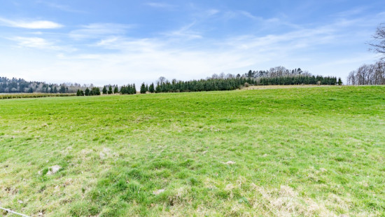 route de La Roche à Stavelot - Regné - LOT 1 - - 6690
