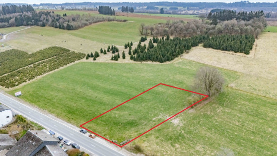 route de La Roche à Stavelot - Regné - LOT 1 - - 6690