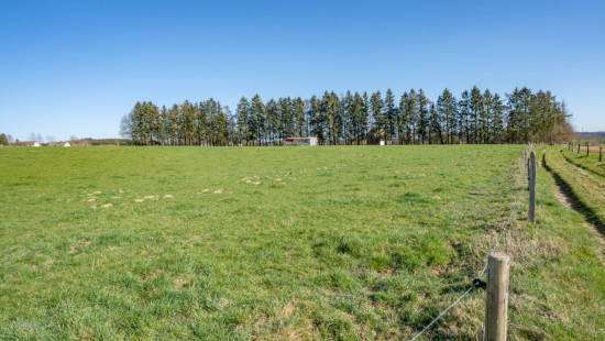 Taverneux - 0 - Lot 1 - 6661