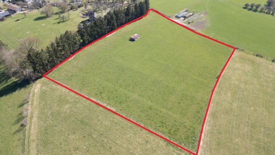Taverneux - 0 - Lot 1 - 6661