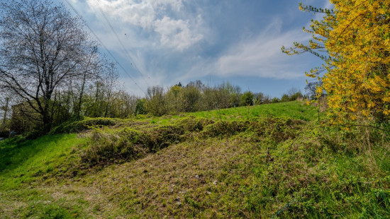 Route d&#039;Havelange - 107 - - 5350