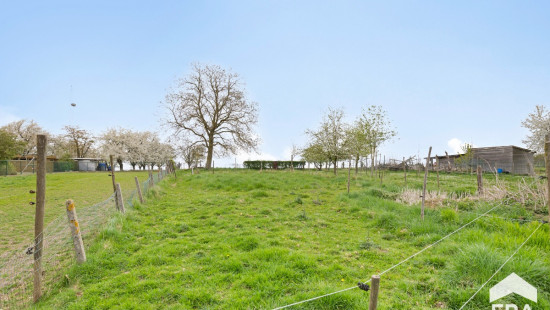 Oude Katsei - 35 - - 3890